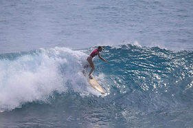 IMG_E3135.JPG