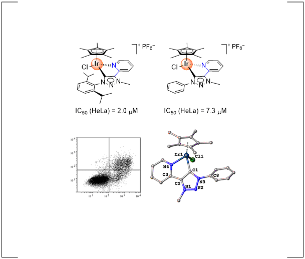 Organometallics 2019.gif