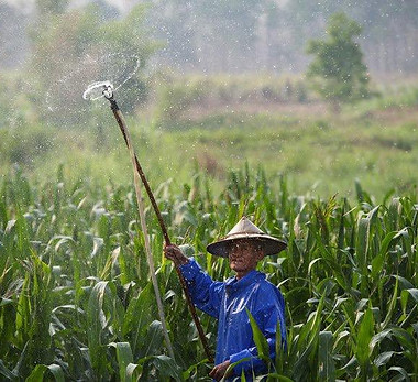 Man_in_Field.width-800.jpg