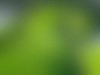 Quy định về miễn, giảm tiền thuê đất và tiền sử dụng đất năm 2025