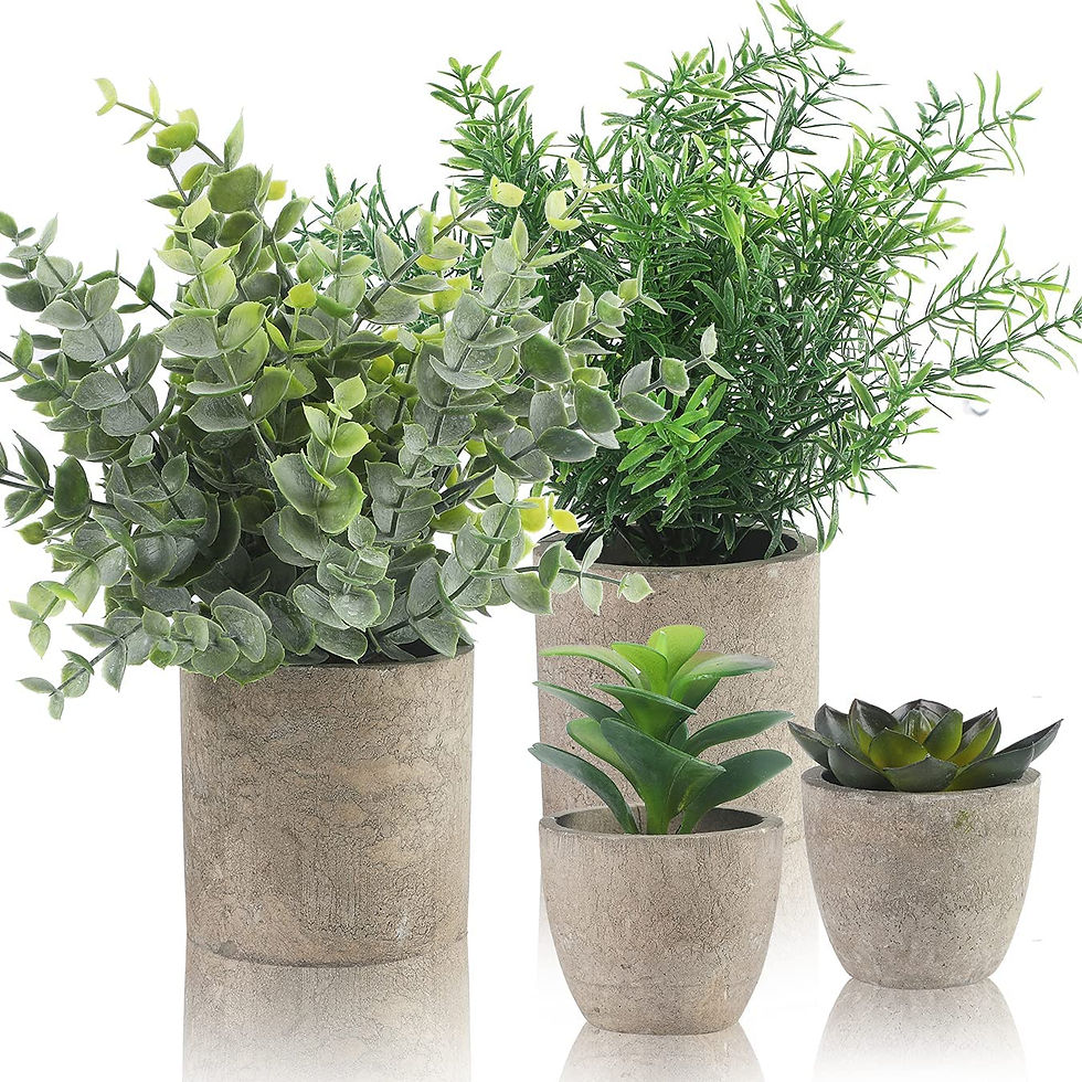 Faux Plants