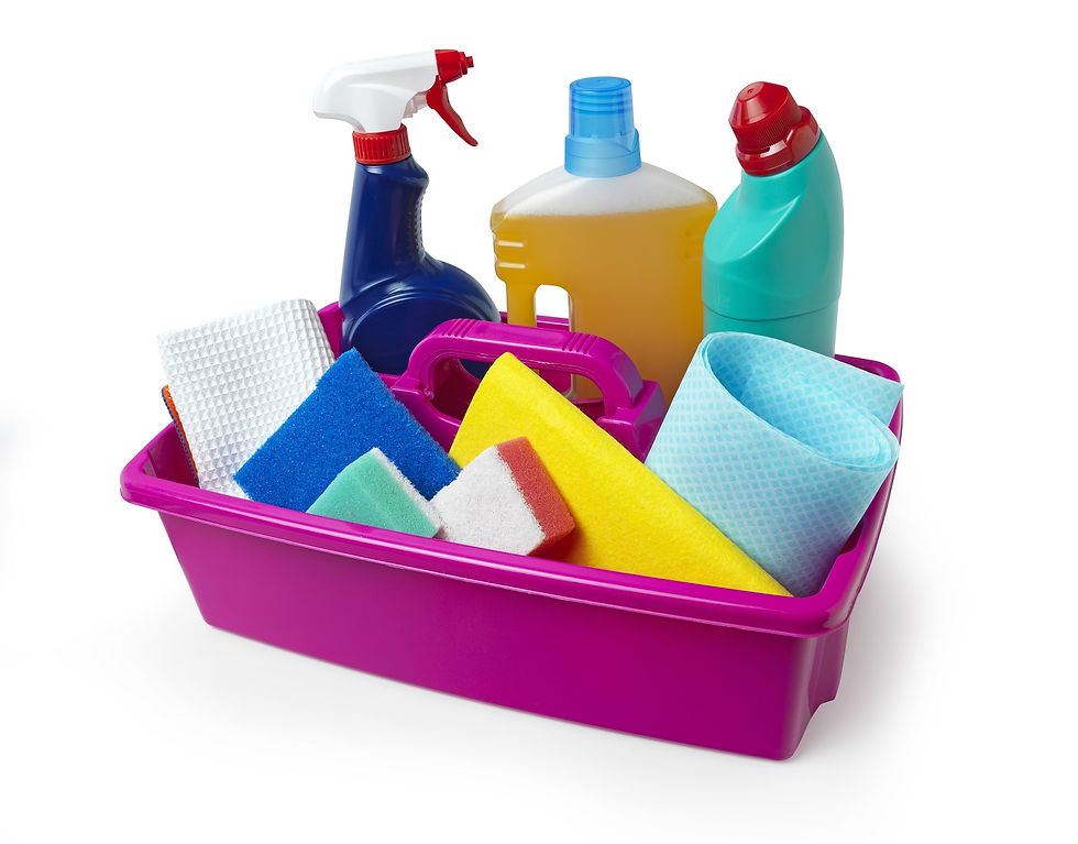 Cleaning Caddy