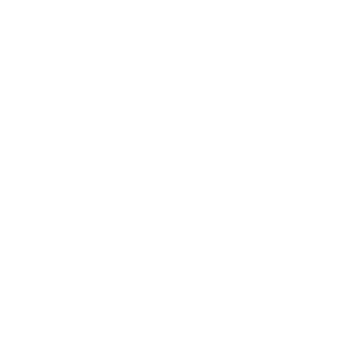 Edison District.png