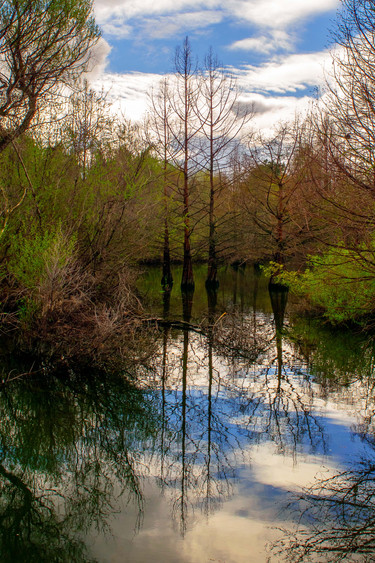 Nature Portview nature portview