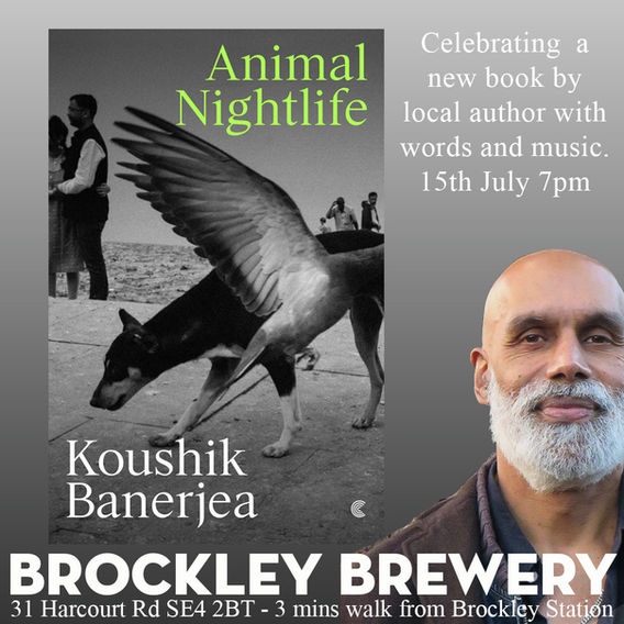 Animal Nightlife book launch by Koushik Banerjea at Brockley Brewery