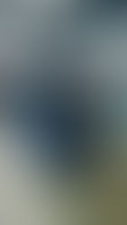 ❌Audi RS3 DAZA 2.5TFSI 400PS Quattro❌