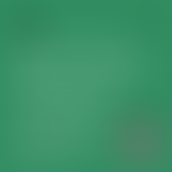 3rd Sunday in Lent - Cycle B