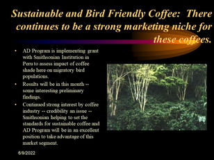 Peru Bird Friendly Coffee