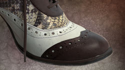 ShoeClose.jpg