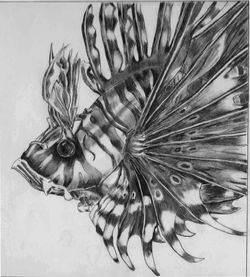 LionFish(small).jpg