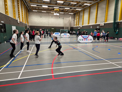 Dodgeball Festival