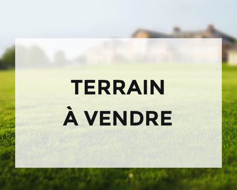TERRAIN DE 50ha - DÉCAPAGE- COTE D’IVOIRE- A EBIMPE 50ha à EBIMPE 