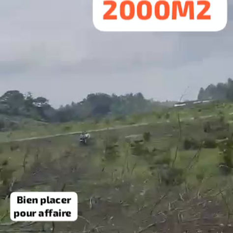 TERRAIN DE 2000m² EN VENTE – COTE D’IVOIRE - JACQUEVILLE – A 40.000.000FCFA  