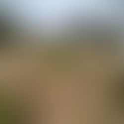 TERRAIN DE 940m² EN VENTE – COTE D’IVOIRE - ABIDJAN –  COCODY A 230.000.000FCFA  