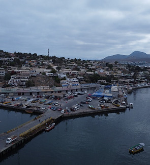 caleta tongoy