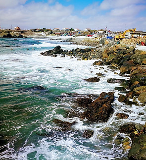 caleta punta de choros