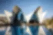 oceanografic-of-valencia-1.jpg.webp