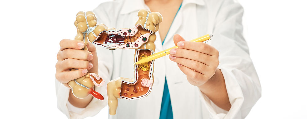 Darmgesundheit und Immunsystem