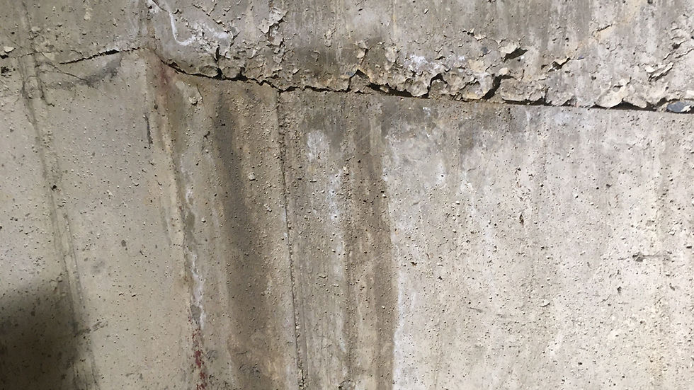 Eye-level view of a technician inspecting a basement foundation wall