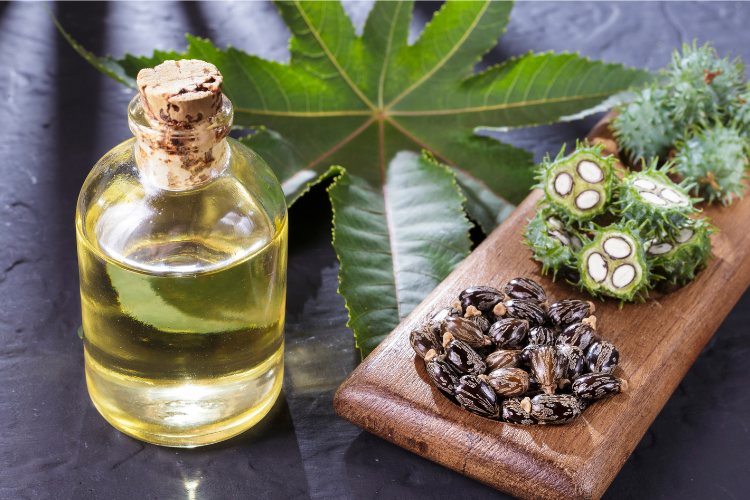 bali_buda_blog_castor_oil_banner-1.png