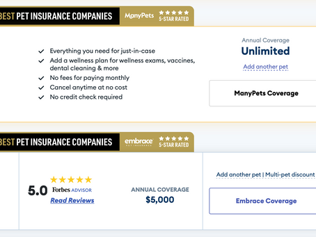 Pet Insurance Raitings in 2023