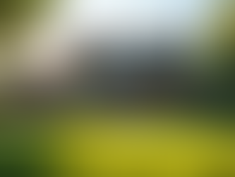 Vaughan & GTA Real Estate Market Update – Spring 2026: A Strategic Window for Sellers