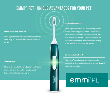 PET-DENTAL-HEALTH-MONTH.png
