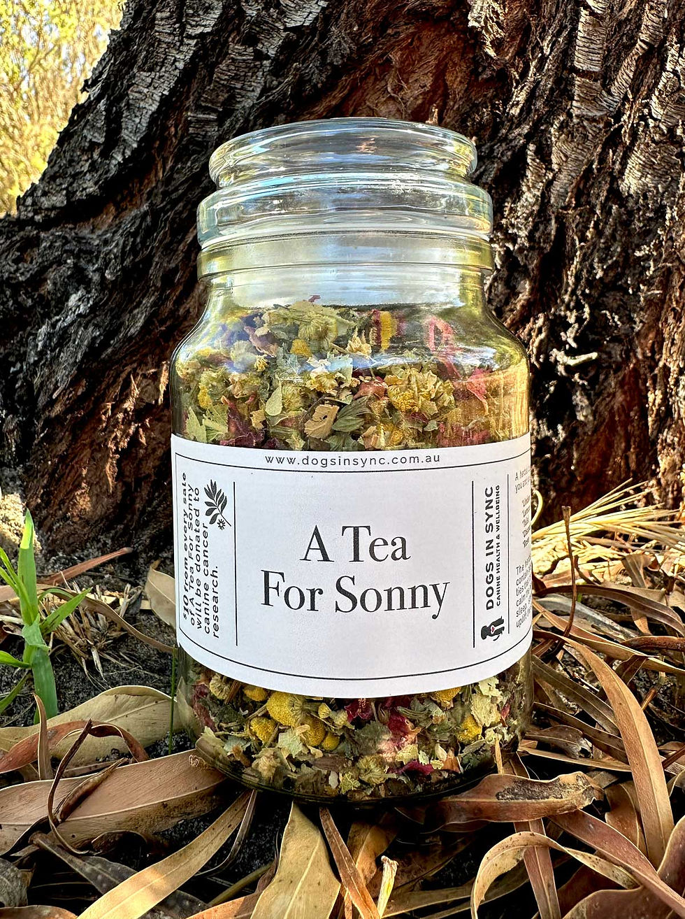 Thumbnail: tea to relieve anxiety for dogs 