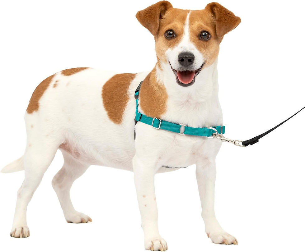 Thumbnail: Easy Walk No-Pull Dog Harness - the Ultimate Harness to Help Stop Pulling - Take