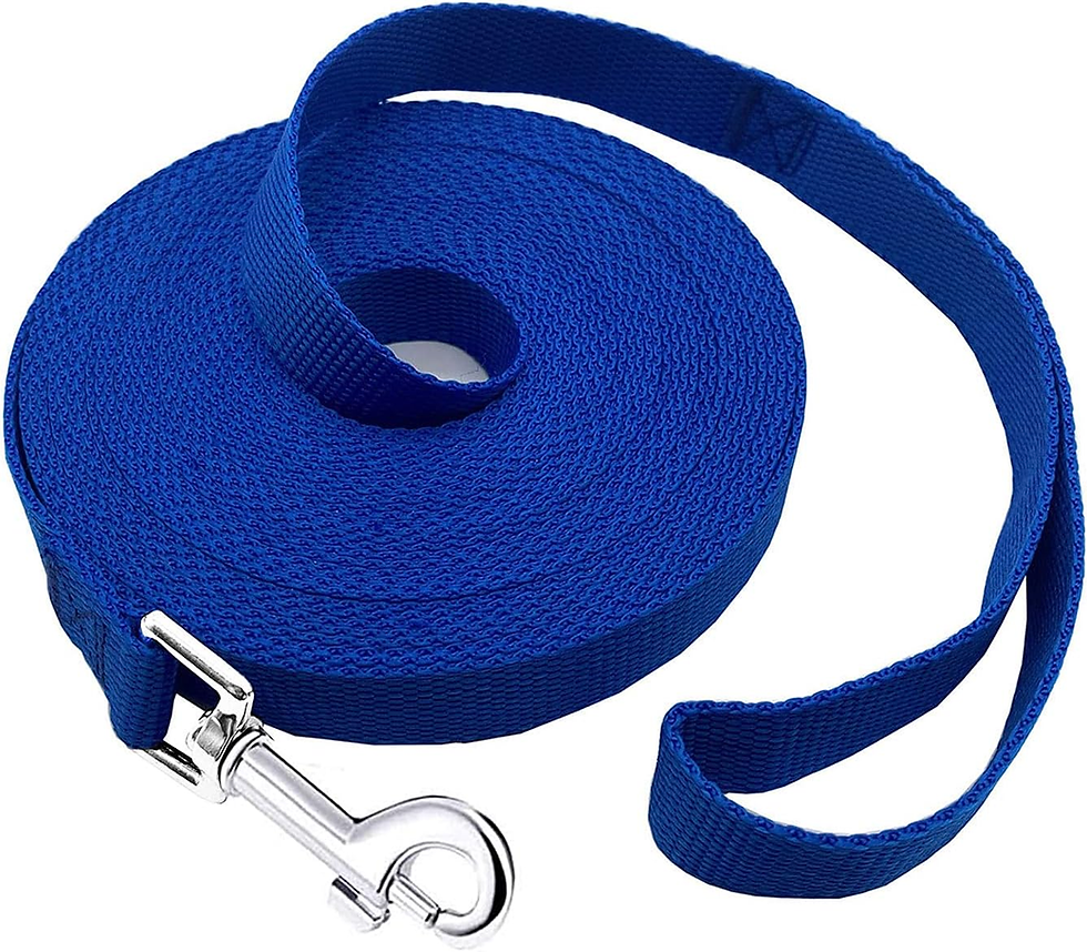 Thumbnail: 15Ft 20Ft 30Ft 40Ft 50Ft Long Dog/Puppy Lead Obedience Recall Training Dog Leash