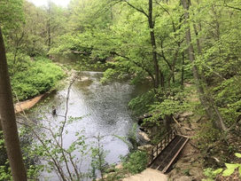 Top Pet-Friendly Parks and Trails in Philadelphia