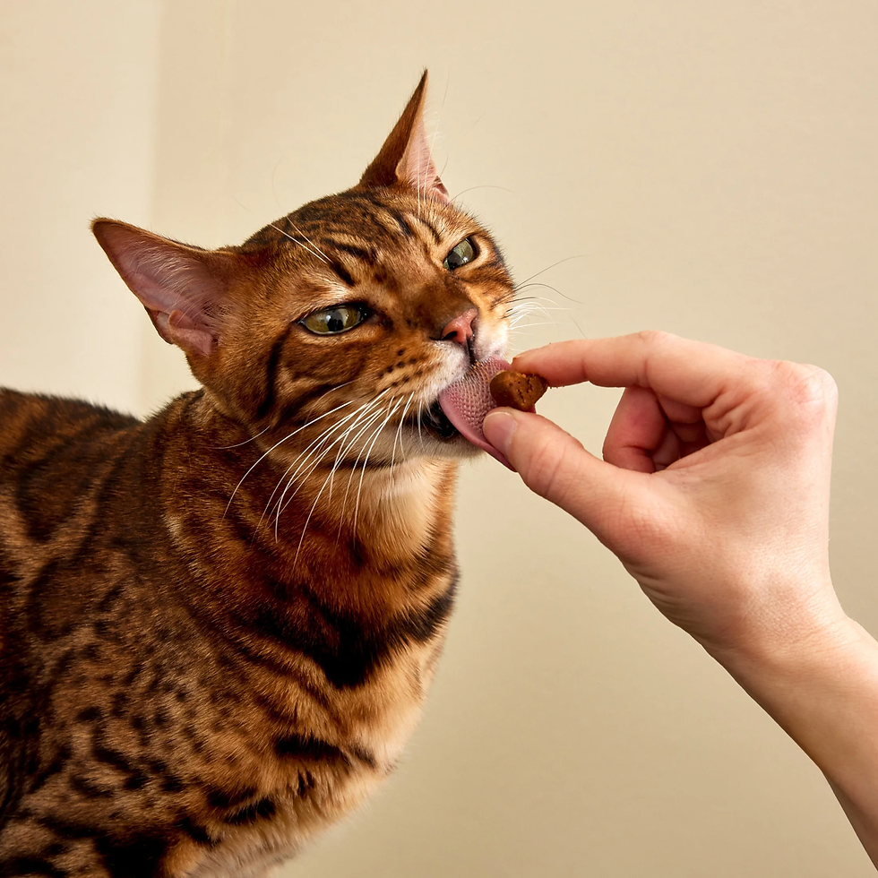 Thumbnail: Calming Bites Bacon 30Ct - Cat (Pouch)