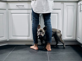 How Doggy Daycare Can Help with Separation Anxiety
