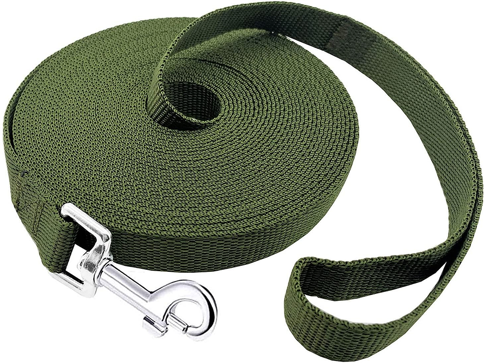 Thumbnail: 15Ft 20Ft 30Ft 40Ft 50Ft Long Dog/Puppy Lead Obedience Recall Training Dog Leash