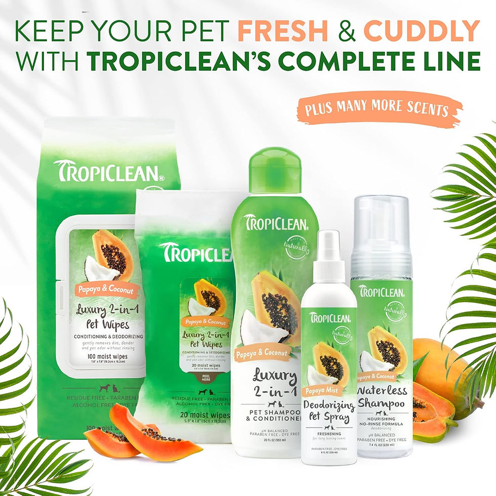 Thumbnail: 2-In-1 Papaya & Coconut Dog Shampoo and Conditioner | Natural Pet Shampoo Derive