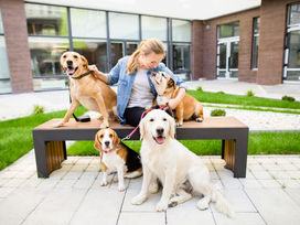 The Top 5 Reasons You Should Hire A Dog Walker