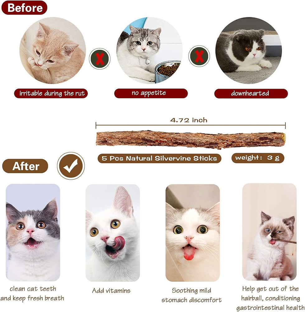 Thumbnail: Natural Wood Cat Teaser Wand Toy