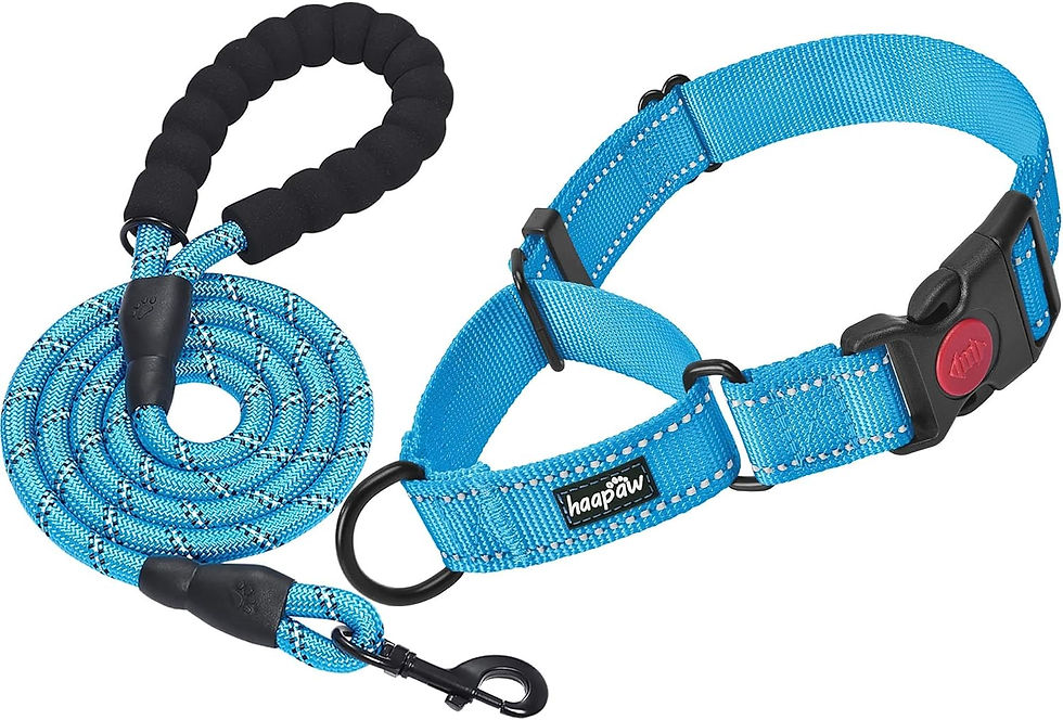 Thumbnail: 2 Packs Martingale Dog Collar with Quick Release Buckle Reflective Dog Training 