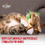 Thumbnail: Coffee & Croissant -  Silly Snacks Cat Toy