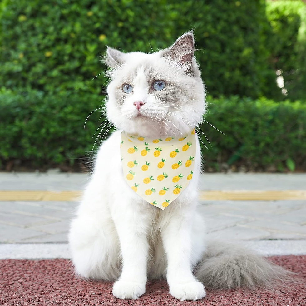 Thumbnail: 6 Pieces Dog Bandana, Fruit Scarf for Dogs, Cats,Pets Accessories (Fruits-6, Sma