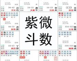 紫薇斗数推命術 紫薇発秘訳解 佐藤文栞 張耀文 紫微斗数転盤 易占 五行