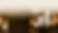 ChatGPT Image 1. 6. 2026 04_38_30.png