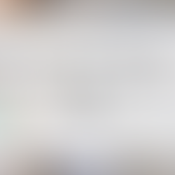 磁器とボーンチャイナの違