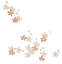 滿囊香(邊飾).png