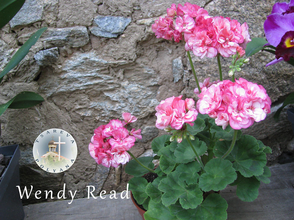 wendy read 002