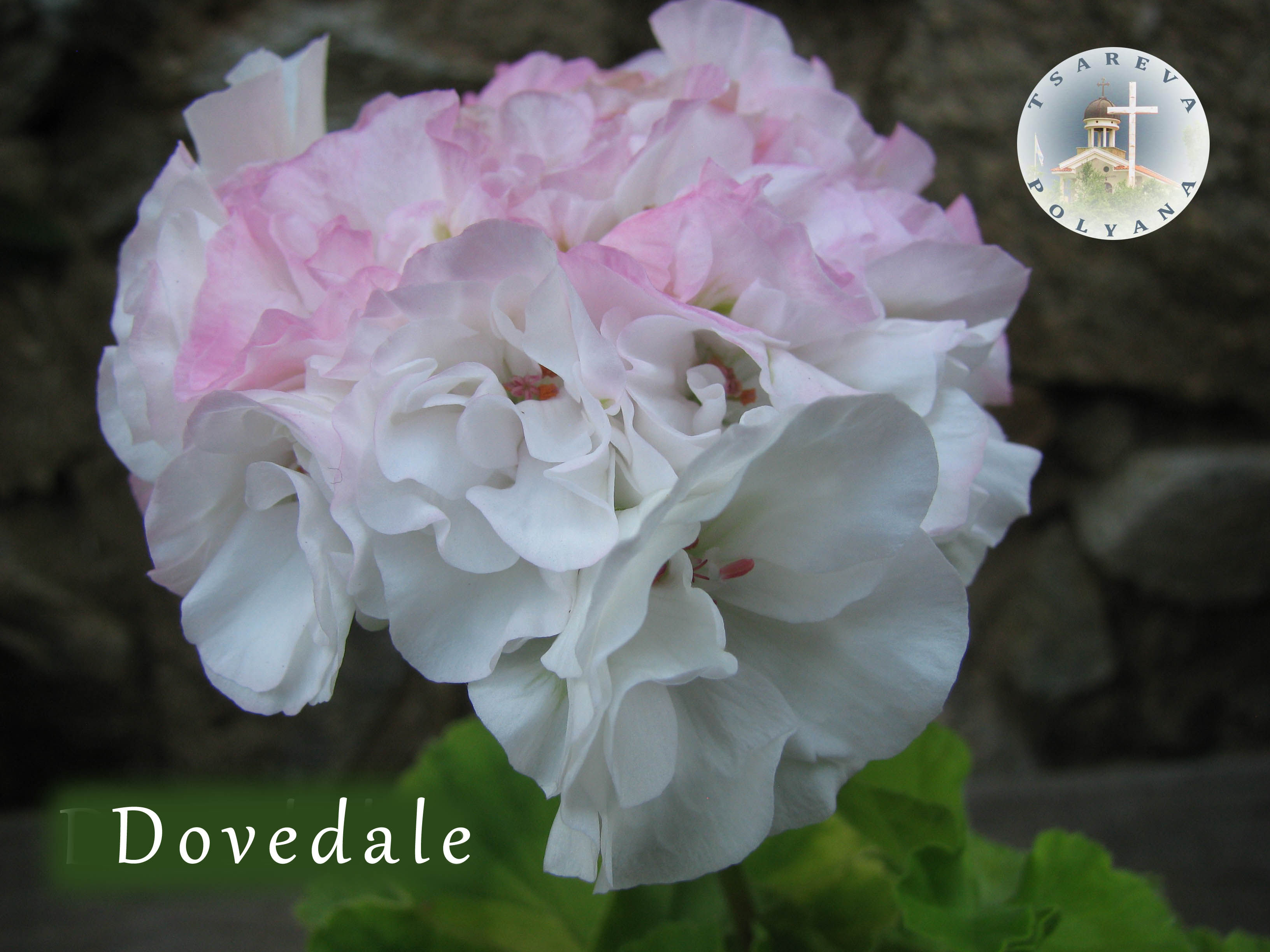 Dovedale
