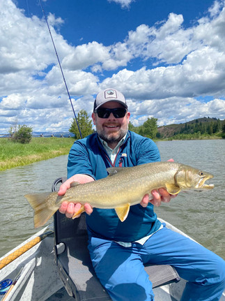 salmonfly eating bull trout 