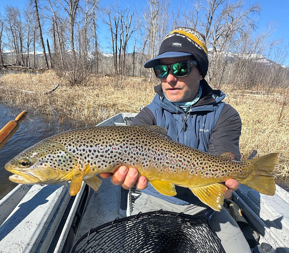Missoula Fly Water | March Fishing Report | Missoula Fly Fishing Trips
