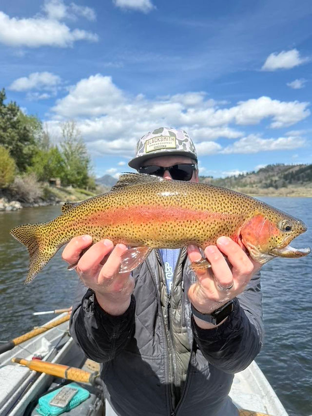 rainbow trout from the missouri river 