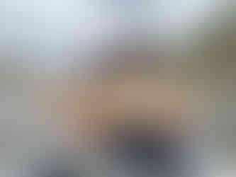 rainbow caught below blodgett creek